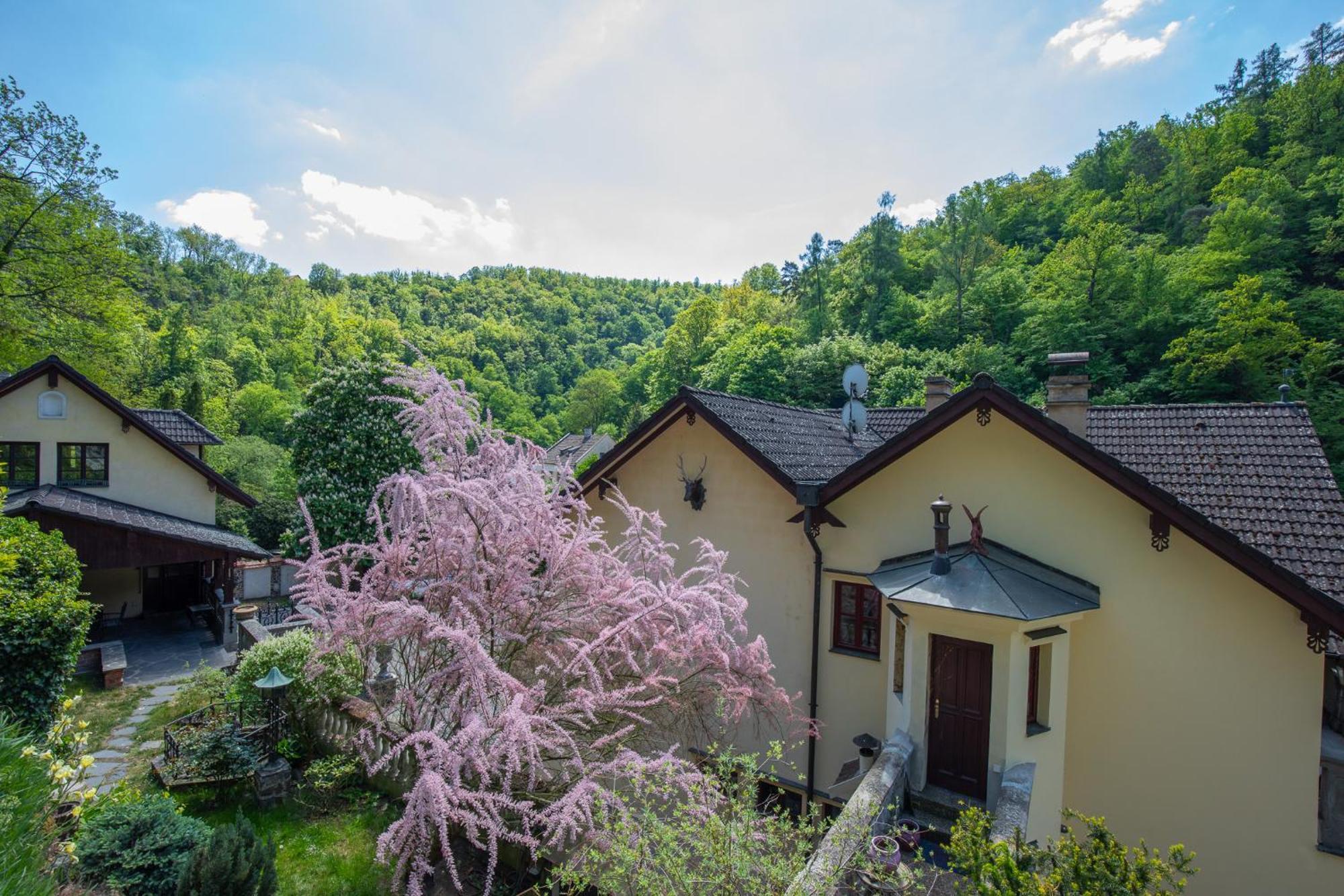 Resort U Jelena Кршивоклат Екстер'єр фото